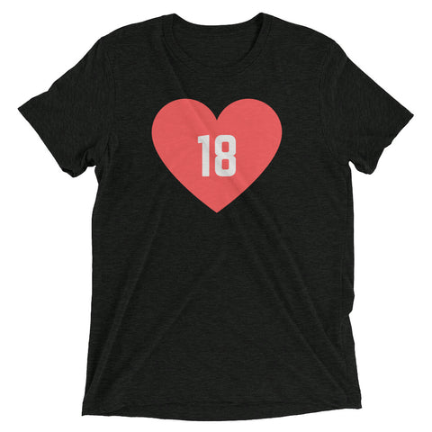 WE LOVE 18 triblend T [multi]
